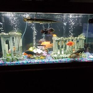 Meet your Posher, Stephen